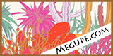 Megupe.com